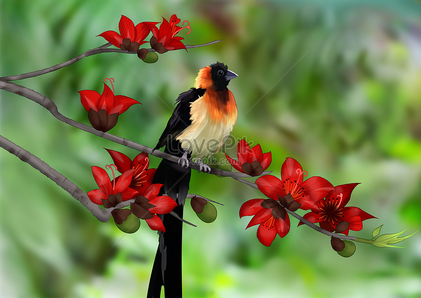 Cute animals handpainted birds in spring illustration ...