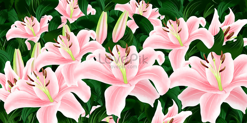 Hoa Lily nền là biểu tượng của sự thanh lịch và tinh tế. Màu sắc trang nhã khiến cho hoa trở nên độc đáo hơn bao giờ hết. Nếu bạn yêu thích vẻ đẹp của hoa, hãy xem ảnh để thưởng thức những bông hoa Lily nền đẹp nhất.