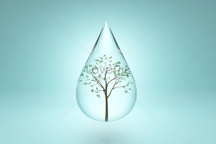 Hình Nền Cây Trong Giọt Nước Tải Về Miễn Phí, Hình ảnh giọt nước, cây, ngày  arbor Sáng Tạo Từ Lovepik