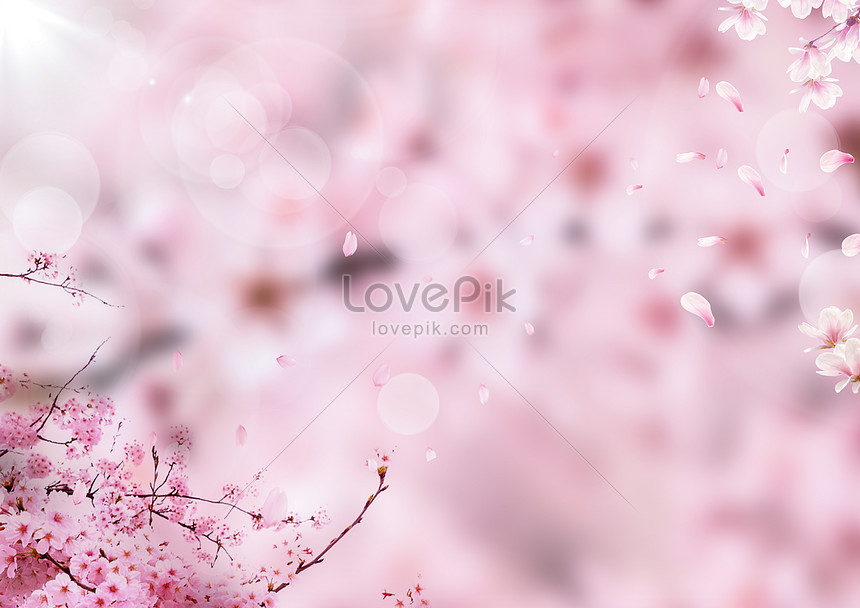 Unduh 5600 Koleksi Background Bunga Sakura Pink HD Paling Keren