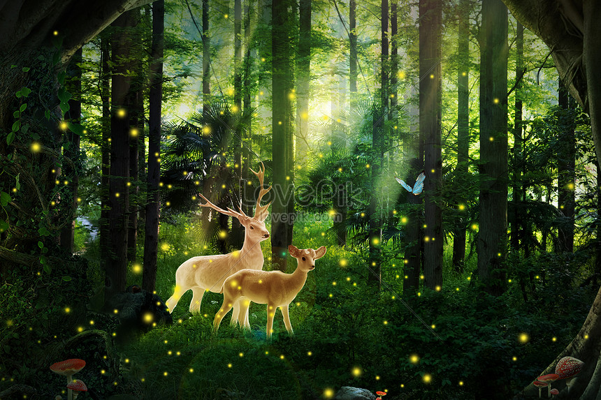 Dream Forest Creative Image Picture Free Download 401020952 Lovepik Com