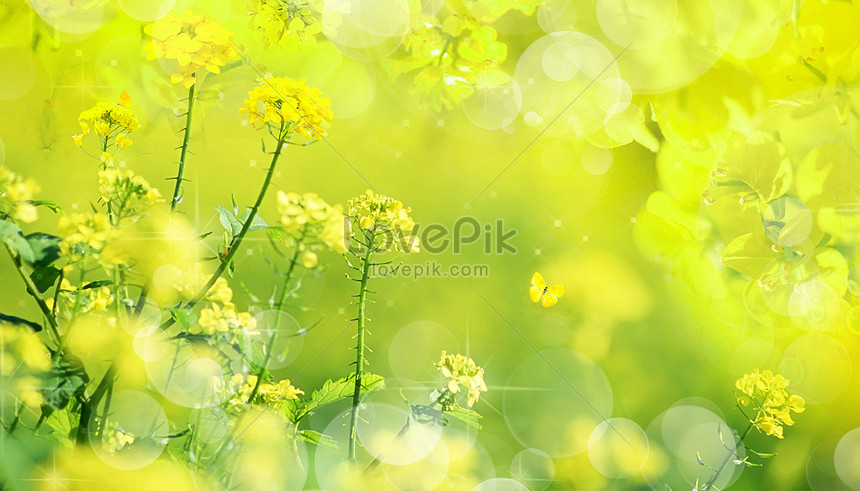 美しい春の風景イメージ クリエイティブ Id Prf画像フォーマットpsd Jp Lovepik Com
