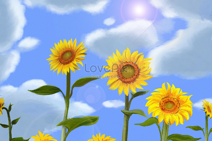 Ilustrasi Bunga Matahari Gambar Unduh Gratis Ilustrasi