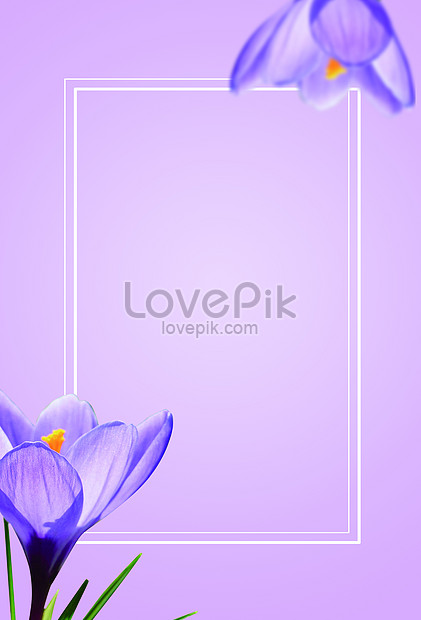 Fondo De Flores Moradas | HD Creativo antecedentes imagen descargar -  Lovepik