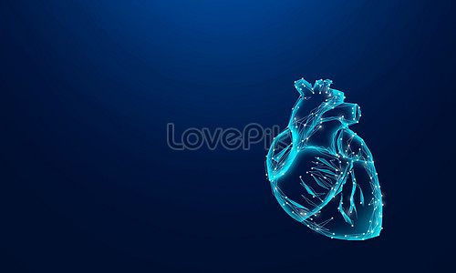 Human Heart Images, HD Pictures For Free Vectors Download 