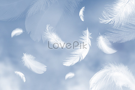 Feather Background Images, HD Pictures For Free Vectors & PSD Download -  