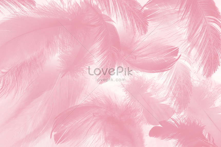 Nền lông màu hồng trông thật đáng yêu và quyến rũ. Hãy xem hình ảnh này để khám phá sự mềm mại và độc đáo từ những sợi lông mềm mại và phong cách sang trọng của màu hồng.