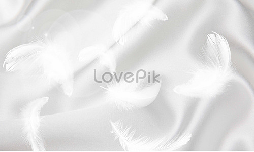 Feather Background Images, HD Pictures For Free Vectors & PSD Download -  