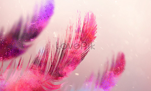 Feather Background Images, HD Pictures For Free Vectors & PSD Download -  