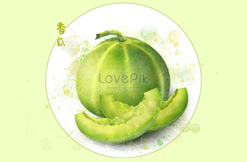 フルーツイラストカンタロープメロンイメージ 図 Id Prf画像フォーマットpsd Jp Lovepik Com