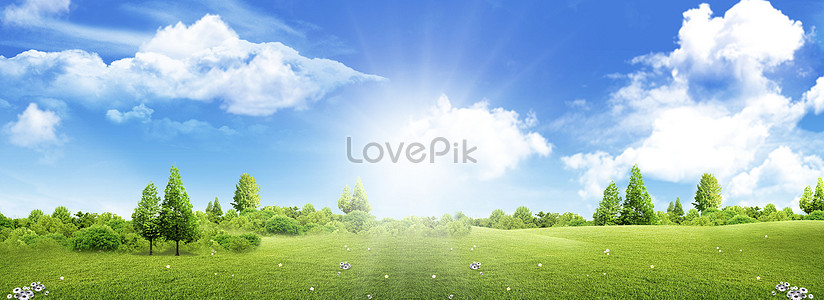 Green Background Images, 14000+ Free Banner Background Photos Download -  Lovepik