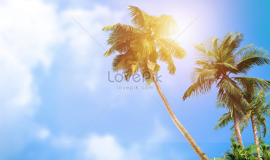 Summer Sky Background Backgrounds Image Picture Free Download Lovepik Com