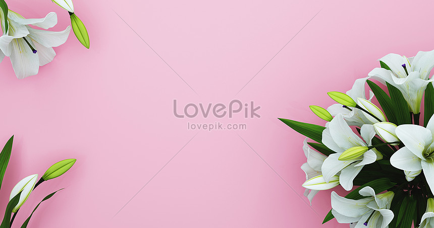 Latar Belakang Bunga Lily Gambar Unduh Gratis Kreatif 401526428 Format Gambar Max Lovepik Com