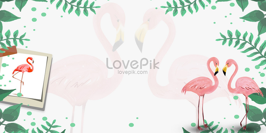Tranh đính trang trí hình chim hồng hạc hoạt hình 5d diy
