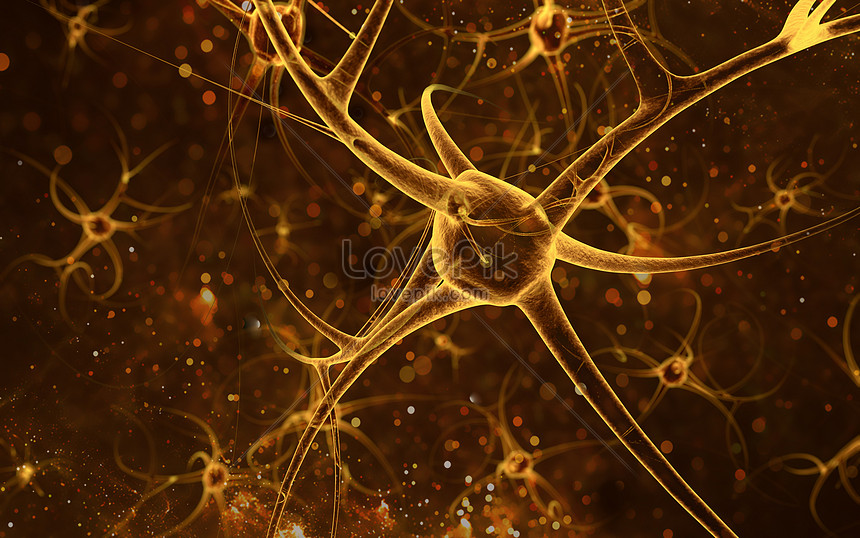 53 Gambar Bentuk Neuron Paling Bagus