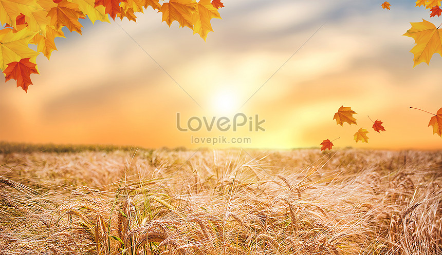 Ultra HD Autumn Wallpapers - Top Những Hình Ảnh Đẹp