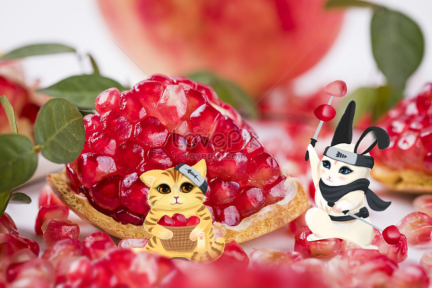 Ninja Rabbit Ninja Cat Stealing Pomegranate Illustration