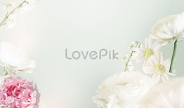 Beautiful flower background stock images collections for free download -  