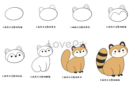 Download 14000 Baby Raccoon Hd Photos Free Download Lovepik Com PSD Mockup Templates