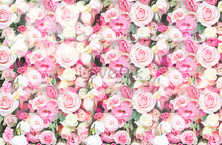 Flower Wall Images, HD Pictures and Stock Photos For Free Download -  