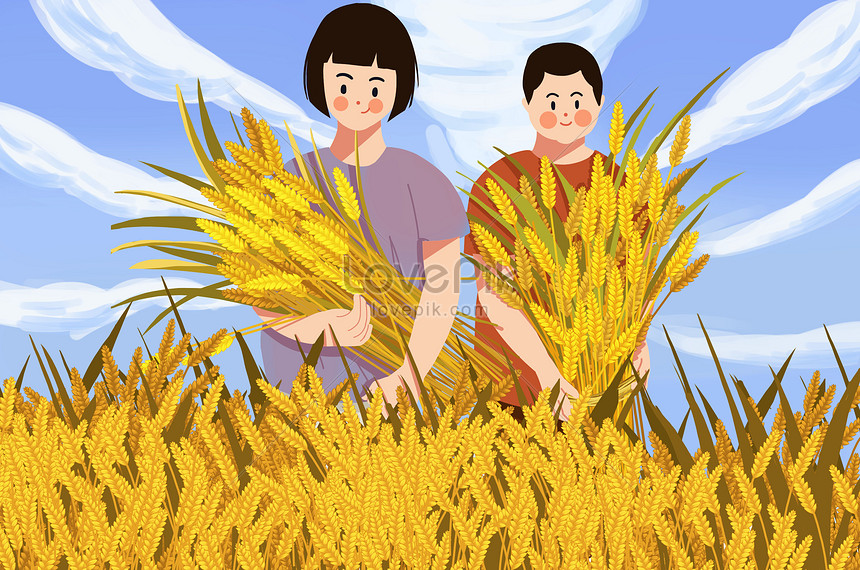 Awns wheat harvest illustration image_picture free download 401728052 ...