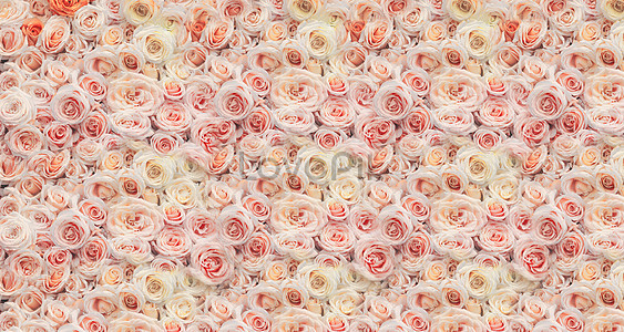 Flower Wall Images, HD Pictures For Free Vectors & PSD Download -  