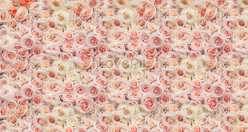 Flower Wall Background Download Free | Banner Background Image on Lovepik |  401728785