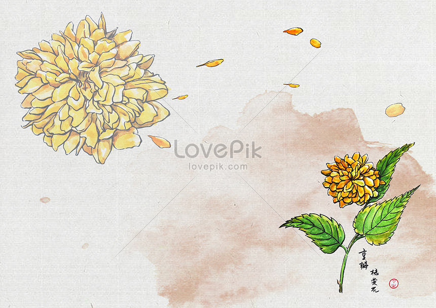 メイフラワーの複花ナデシコ花イメージ 図 Id Prf画像フォーマットpsd Jp Lovepik Com