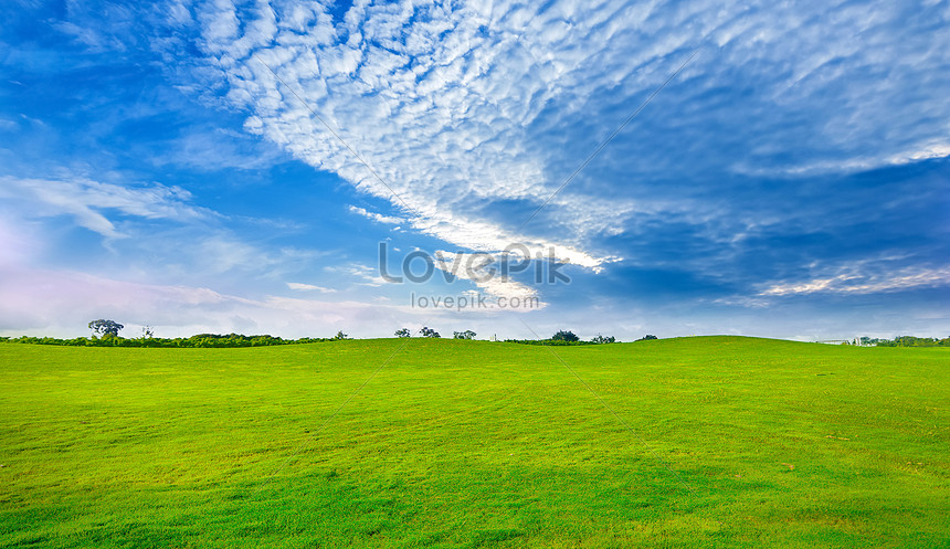 Blue Sky Grass Background Download Free | Banner Background Image on  Lovepik | 401739208