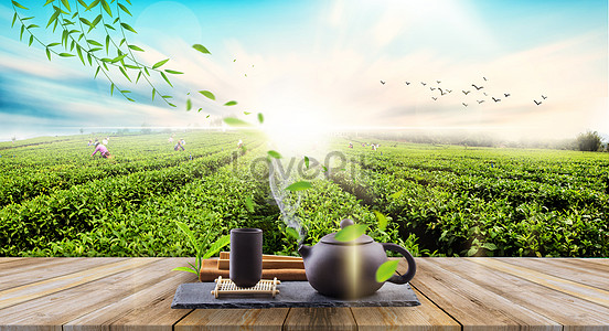 Tea Garden Background Images, HD Pictures For Free Vectors & PSD Download -  