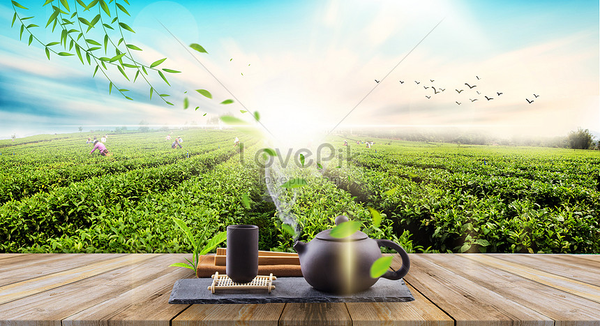 Tea garden background creative image_picture free download  