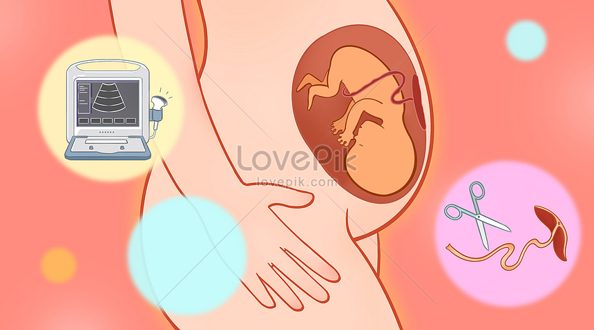 Ilustración De Dibujos Animados De Salud Médica De Embarazo Femenino | PSD  ilustraciones imagenes descarga gratis - Lovepik