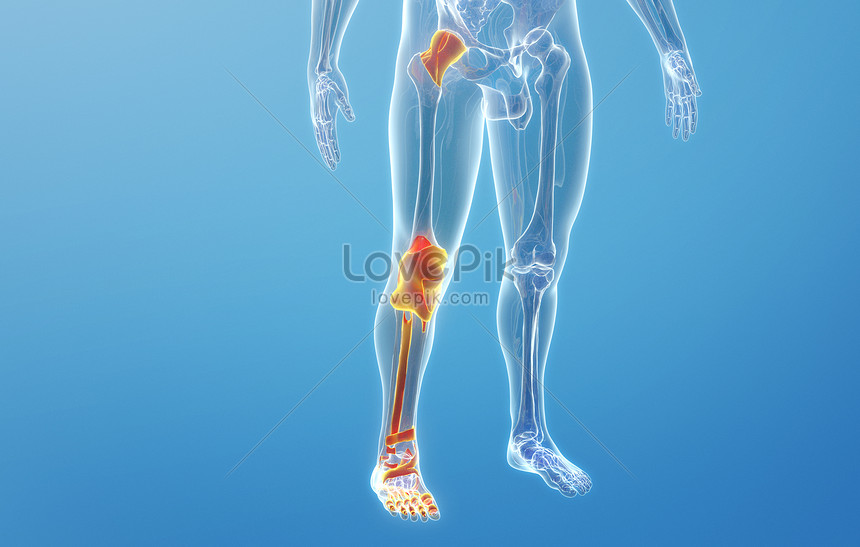 Enfermedad De Los Huesos Y Articulaciones De La Pierna Humana | HD Creativo  antecedentes imagen descargar - Lovepik