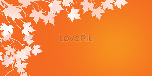 Maple Leaf Background Images, HD Pictures For Free Vectors & PSD Download -  