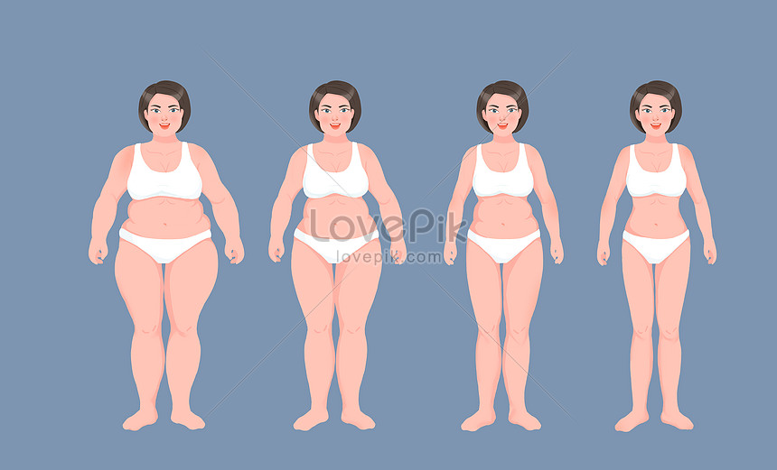Female body fat change chart illustration image_picture free download  401876040_