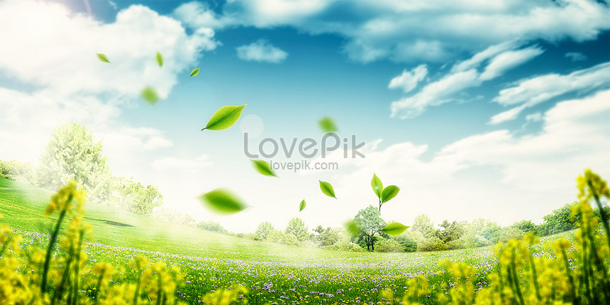 Spring grass background backgrounds image_picture free download ...