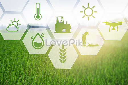 Agriculture Images, HD Pictures For Free Vectors & PSD Download -  