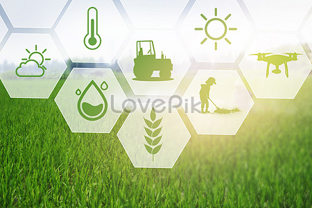 Details 300 Agriculture Background Images Hd Abzlocal Mx