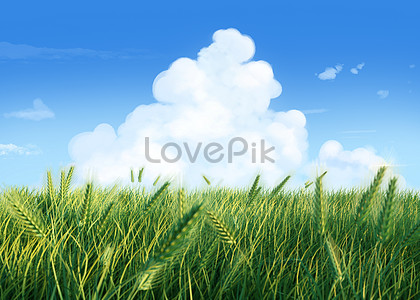 Background Field Images, HD Pictures For Free Vectors & PSD Download -  