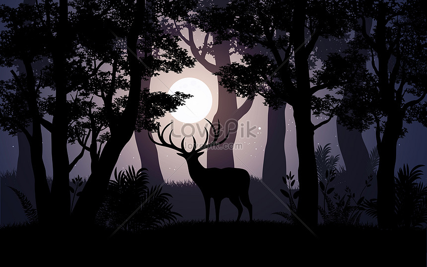 Floresta, noite, lobo, veado, o espírito da floresta, seção
