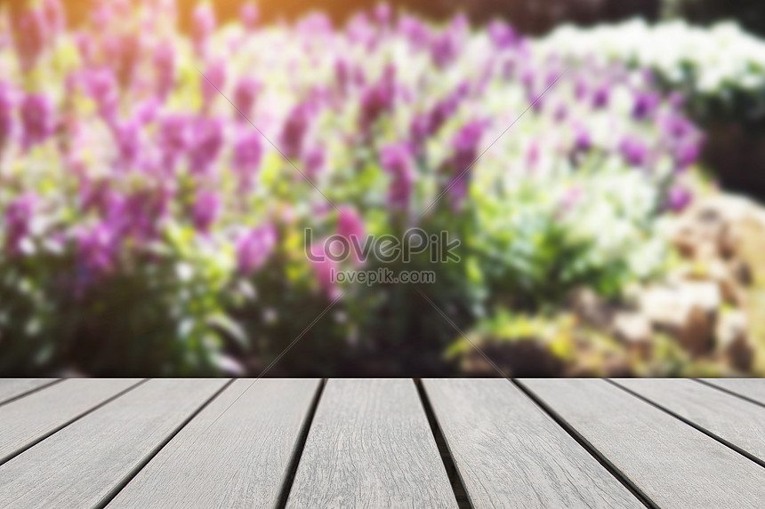 Blurry lavender with wood board background backgrounds image_picture free  download 