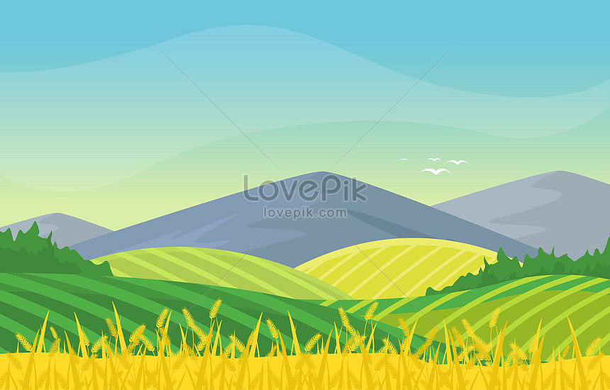 Cánh đồng Lúa Mì Và Nông Trại Phong Cảnh Thiên Nhiên Nông Thôn Các Vector Hình  ảnh | Định dạng hình ảnh JPG,EPS 450044231