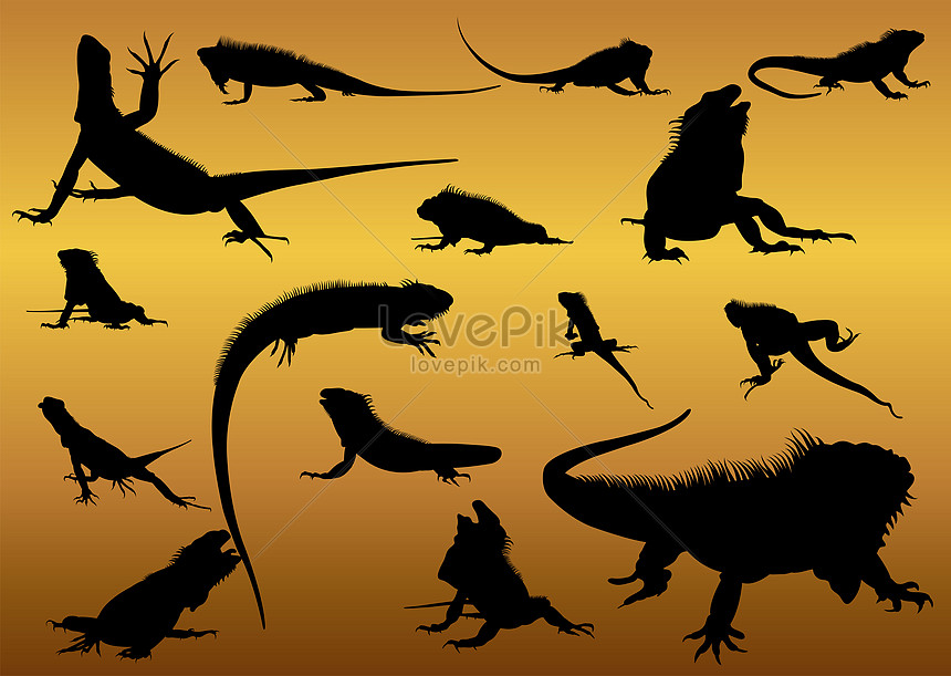 Set of silhouettes iguana illustration image_picture free download ...