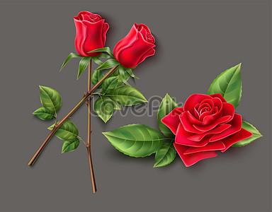 Rose Flower Background Images, 25000+ Free Banner Background Photos  Download - Lovepik