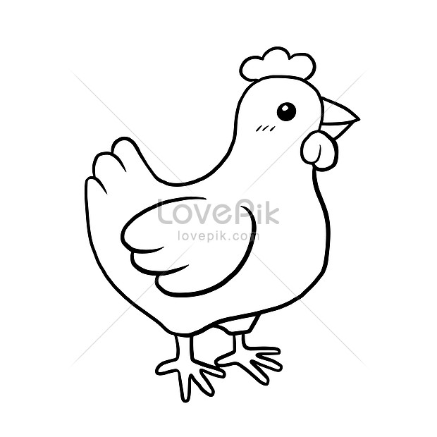 Chicken Cartoon Images, HD Pictures For Free Vectors Download 