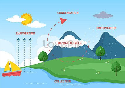 Water cycle of evaporation, condensation, precipitation to colle ...