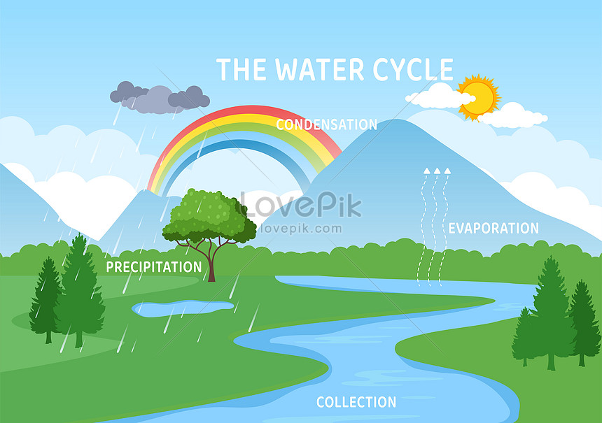 Ciclo Da Água De Evaporação Condensação Precipitação Para Colle Imagem ...