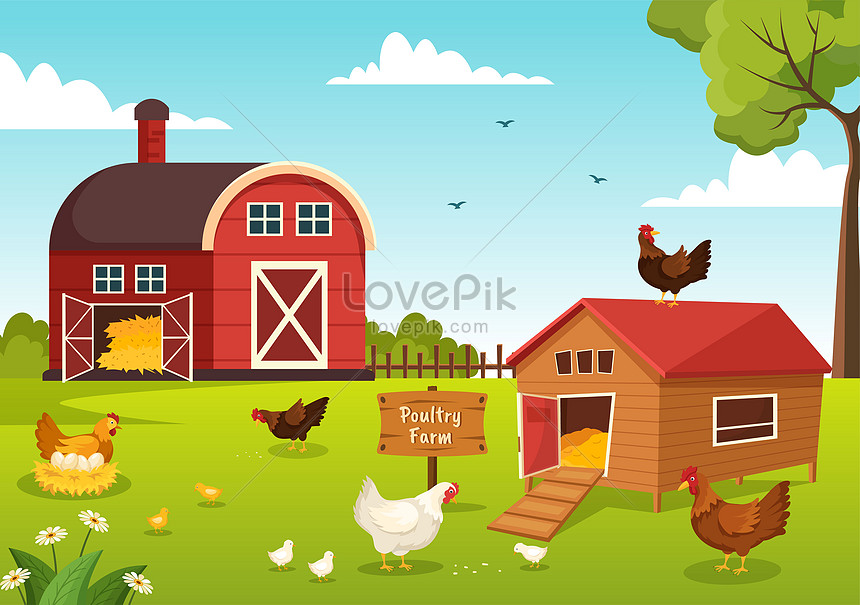 Poultry Farm House Design Drawing at Anne Pratt blog