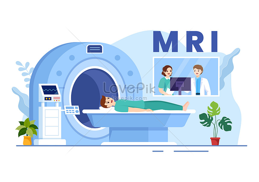 Sample MRI images from a male (A, TT01) and female (B, TT08)... | Download  Scientific Diagram