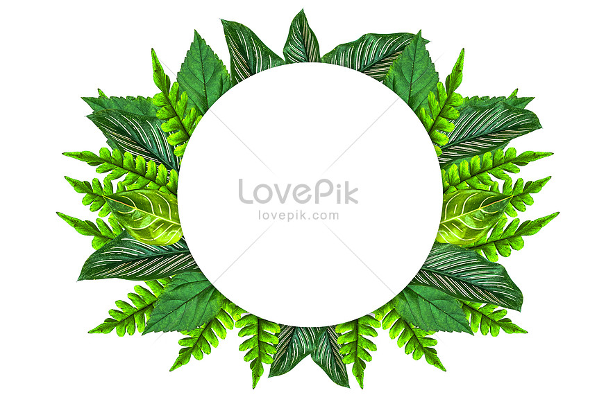 Isolated Fern Leaf Circle On White Background Picture And HD Photos ...